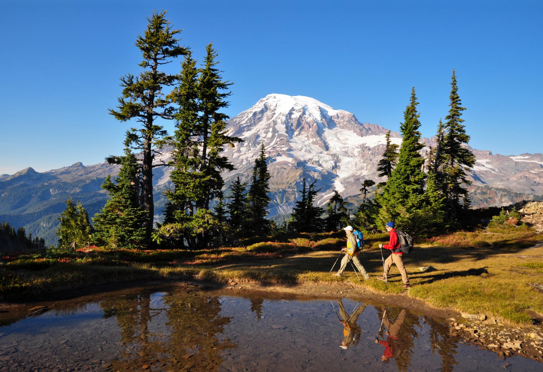 Visit Mt. Rainier Your Mt. Rainier Trip Planner Best Time to Visit